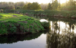 Stekene Vaart