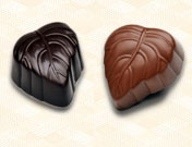 Bladije Chocolate Ganache