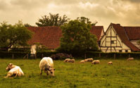 Belgian farmhouse