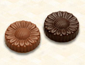 Sugar Free Belgian Chocolate